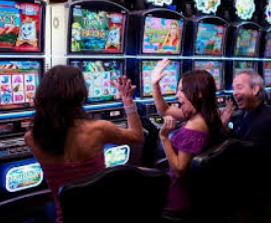 鲸鱼体育免费版