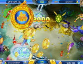 鲸鱼体育电脑免费版